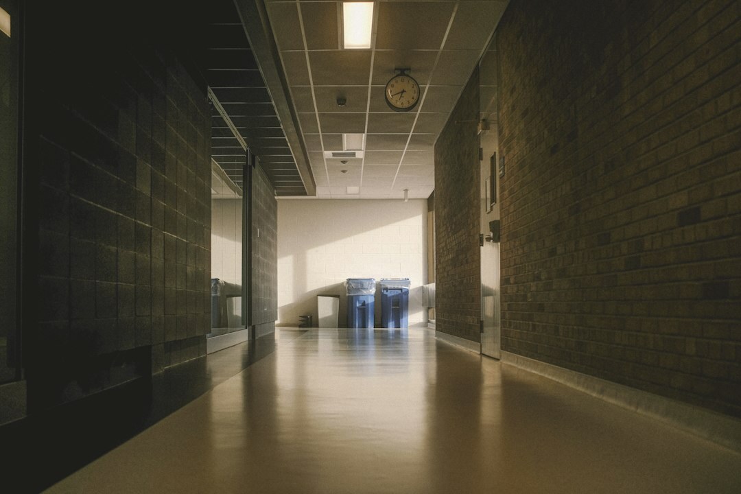 Quiet museum gallery hallway with soft natural light